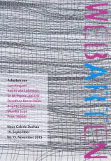 koepsel--von-lehmann--pietra-loebl-osf--reese-heim--schwacke--supe--weber--neue-galerie-dachau-2015