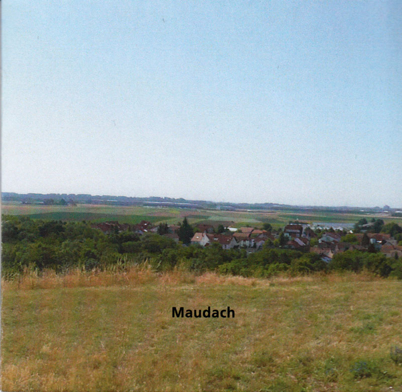 mauler-maudach