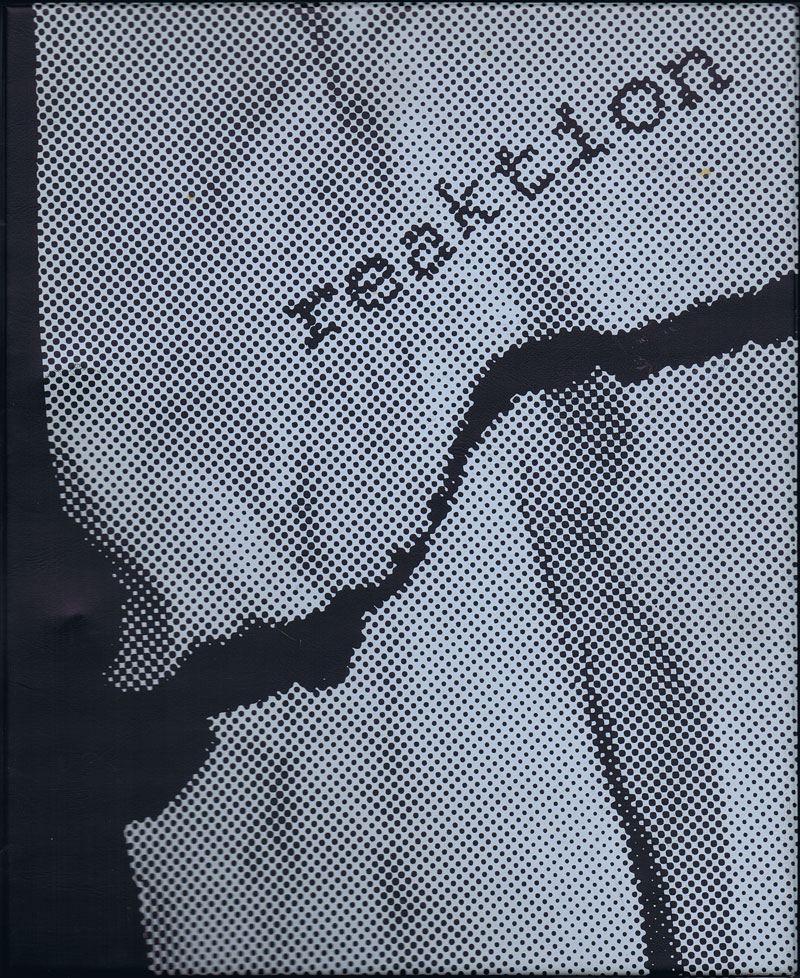 reaktion-2